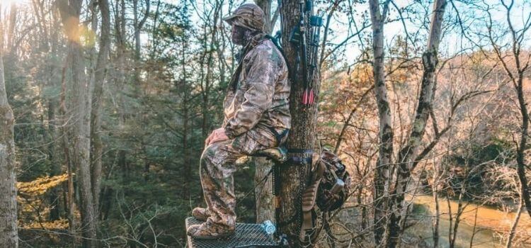 Can You Put Tree Stands on Public Land?