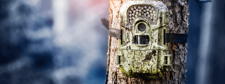 Is it legal to put trail cameras on public land?